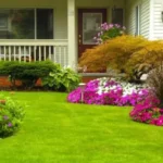 Landscaping Styles: Creating Beauty in Your Home