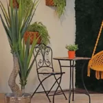 Natural Elegance: Ideas to Incorporate Garden Elements Indoors